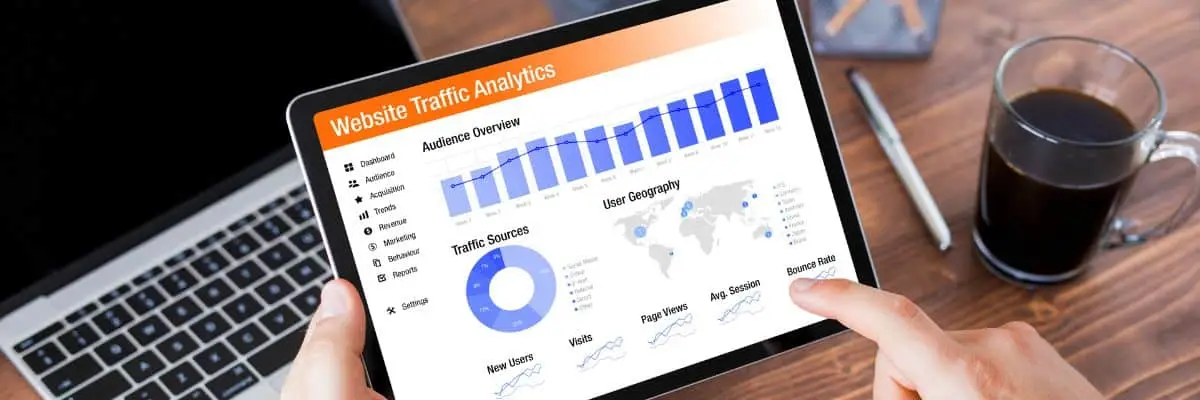 Paid and Organic Traffic and Visitors